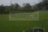 hofwiesenparkfest-gera-2013-157