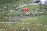 hofwiesenparkfest-gera-2013-299