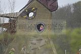 hofwiesenparkfest-gera-2013-311