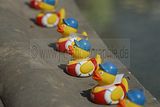 062__DSC0037