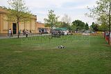 112_DSC_0030