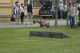215__DSC0159