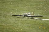231__DSC0176