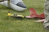 232__DSC0177