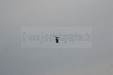 233__DSC0178