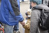karnevalsumzug-erfurt-19022012-023