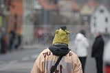 karnevalsumzug-wasungen-18022012-26