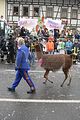 karnevalsumzug-wasungen-18022012-285
