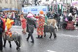 karnevalsumzug-wasungen-18022012-308
