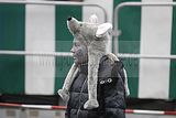 karnevalsumzug-wasungen-18022012-34