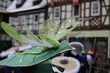 karnevalsumzug-wasungen-2013-323