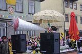 karnevalsumzug-wasungen-2013-380