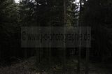 wasungen_karneval_25_02_2017_040