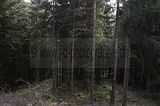 wasungen_karneval_25_02_2017_041