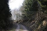 wasungen_karneval_25_02_2017_045