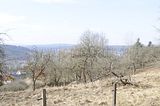 wasungen_karneval_25_02_2017_046