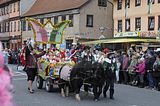 wasungen_karneval_25_02_2017_079