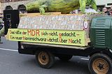 wasungen_karneval_25_02_2017_088