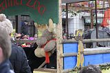 wasungen_karneval_25_02_2017_231