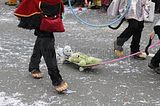 wasungen_karneval_25_02_2017_320