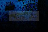 lichterfest-leipzig-09102009-134