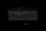 lichterfest-leipzig-09102009-140
