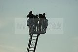 matrazendomino-weida-21072010-026
