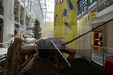 rieseninsekten-goethegalerie-jena-002