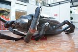 rieseninsekten-goethegalerie-jena-006