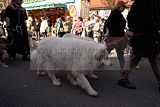 sommergewinn_eisenach_02_04_2011_024