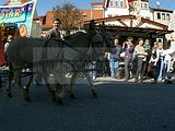sommergewinn_eisenach_02_04_2011_106
