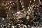 sommergewinn-eisenach-2012-049