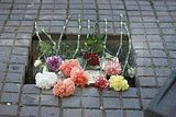 stolperstein_blumenstrasse_8_018