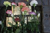 stolperstein_blumenstrasse_8_019