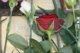 stolperstein_blumenstrasse_8_020
