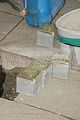 stolperstein_johannesplatz_009