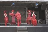 thueringentag-sondershausen-08-06-2013-107
