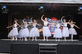 thueringentag-sondershausen-08-06-2013-168