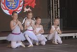 thueringentag-sondershausen-08-06-2013-196