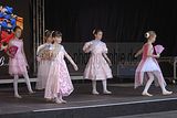 thueringentag-sondershausen-08-06-2013-198