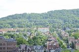 thueringentag-sondershausen-08-06-2013-289