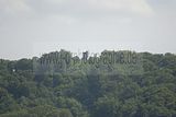 thueringentag-sondershausen-08-06-2013-294