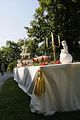 thueringentag-sondershausen-08-06-2013-30