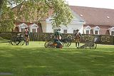 thueringentag-sondershausen-08-06-2013-36