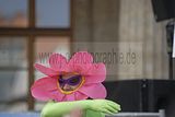 thueringentag-sondershausen-08-06-2013-369
