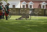 thueringentag-sondershausen-08-06-2013-38
