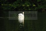 thueringentag-sondershausen-08-06-2013-384