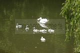 thueringentag-sondershausen-08-06-2013-45