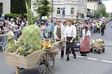thueringentag-sondershausen-09-06-2013-51