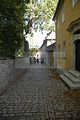 zwiebelmarkt-weimar-2011-038